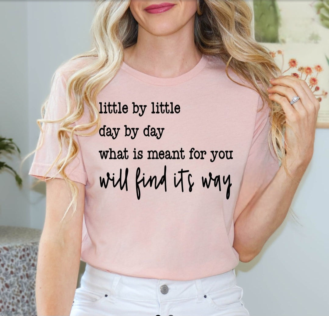 Little By Little Short Sleeve T-Shirt Comfort Colors Pink- Limited Sizing